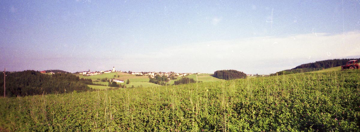 %_tempFileNamePanorama_001%